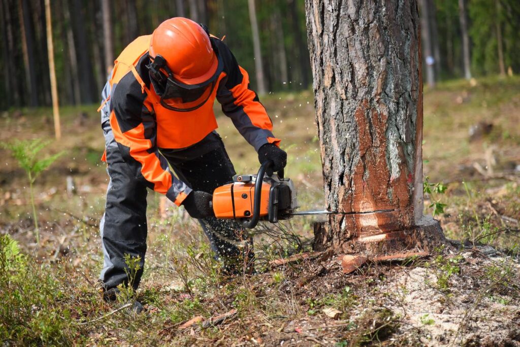 how to use a chainsaw